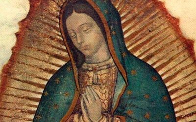 Apariciones de La Virgen de Guadalupe